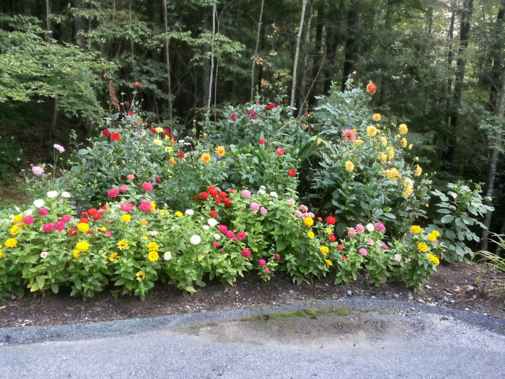 Trish’s Cutting Garden: the stages of a&nbsp;painting