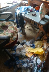 Blue and Yellow Scraps